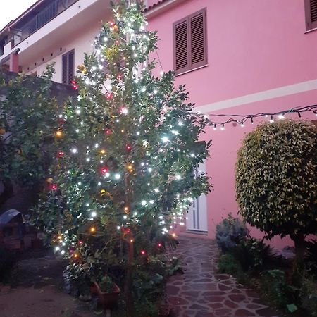 L'Agrifoglio Di Emy Bed & Breakfast Guspini Exterior foto
