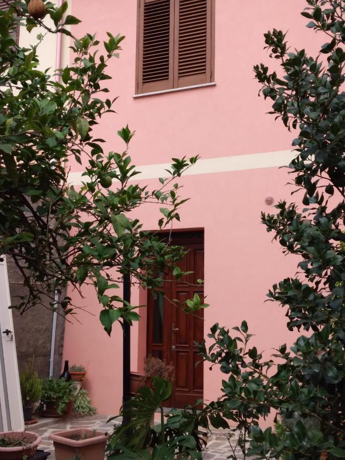 L'Agrifoglio Di Emy Bed & Breakfast Guspini Exterior foto